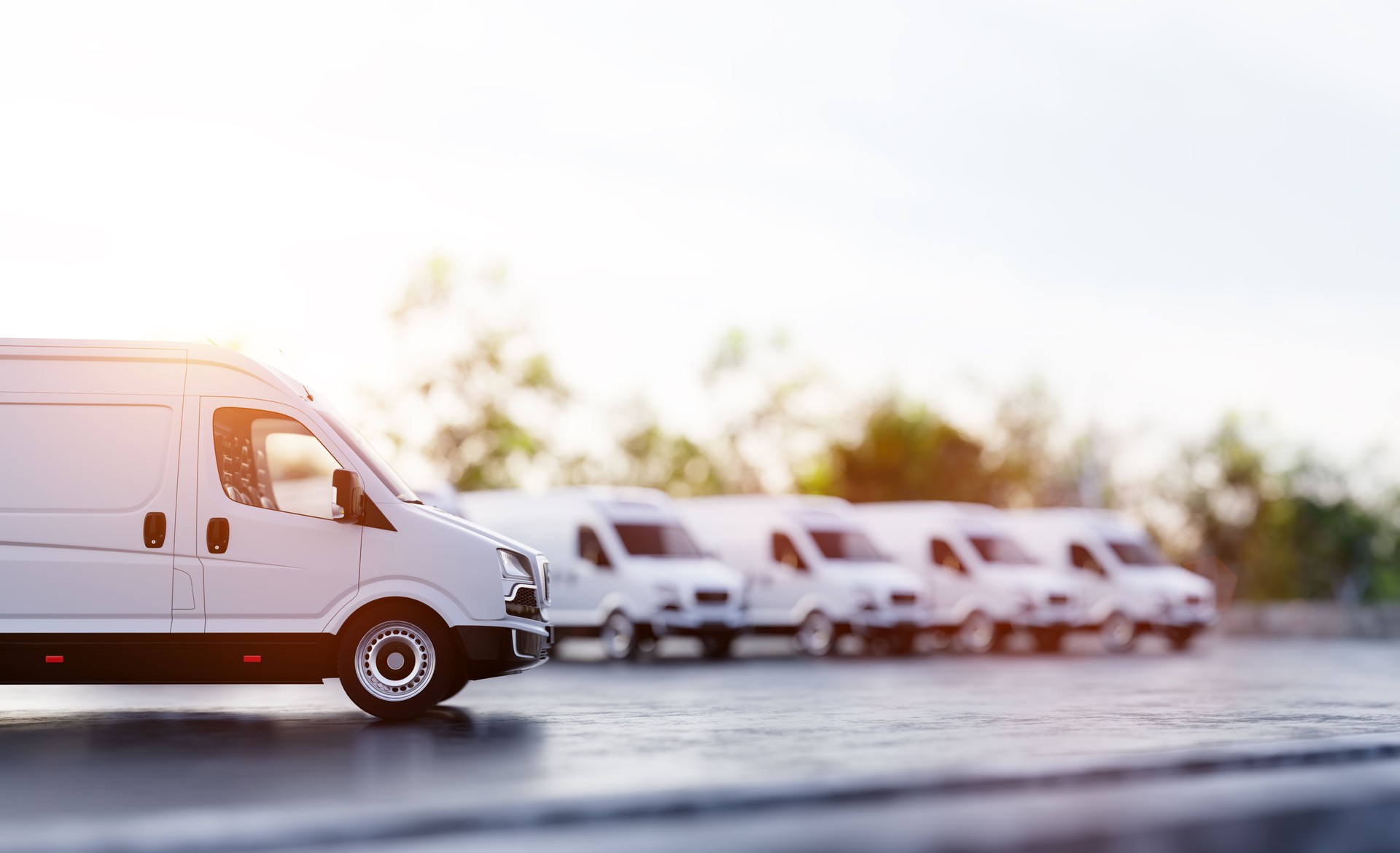 Transportation van and fleet of cargo trucks courier service
